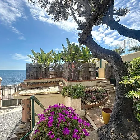 32m2 Petite Maison Au Bord De L'eau Avec Terrasse * 칸느